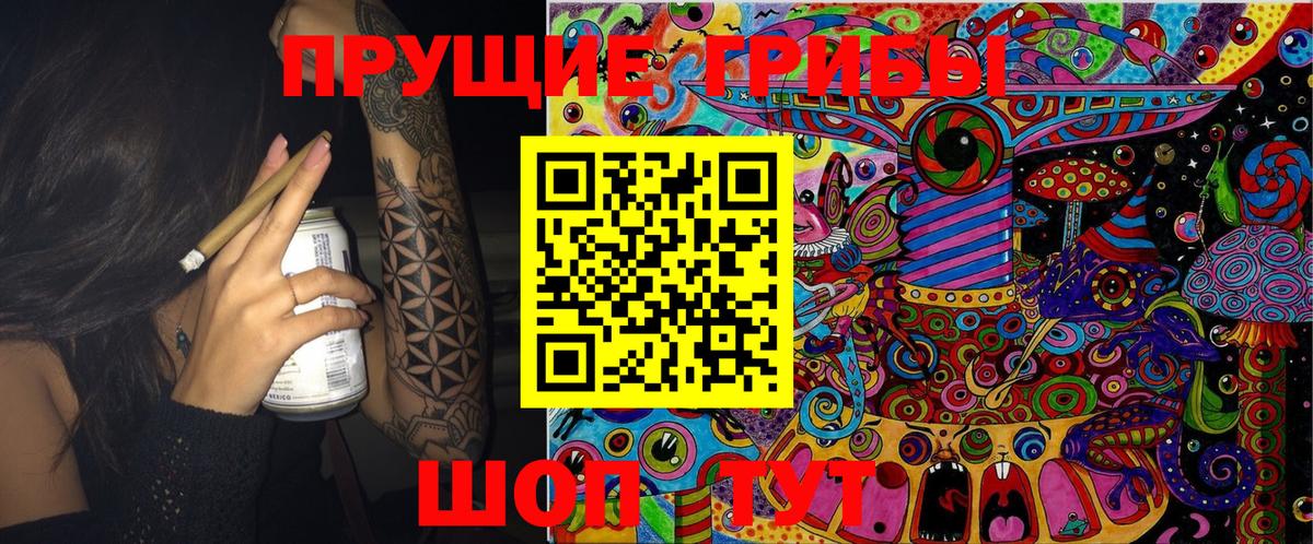 Галлюциногенные грибы Psilocybe  Вход с VPN  Галлюциногенные грибы Psilocybe  Топки 